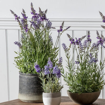 Faux Lilac Lavender in Pot - Niamh Carter Interiors