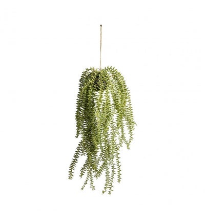 Faux Hanging Cactus Horsetail - Niamh Carter Interiors